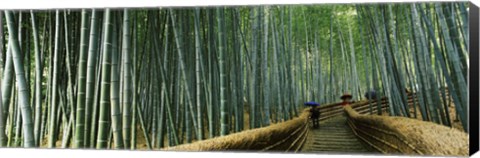 Framed Stepped walkway passing through a bamboo forest, Arashiyama, Kyoto Prefecture, Kinki Region, Honshu, Japan Print