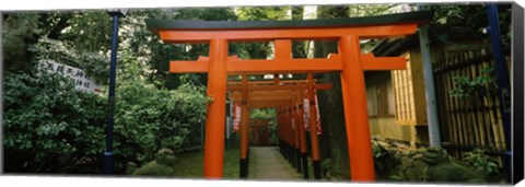 Framed Torii Gates in a park, Ueno Park, Taito, Tokyo Prefecture, Kanto Region, Japan Print