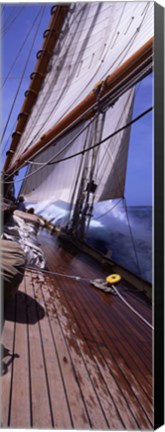 Framed Sailboat in the sea, Antigua (vertical) Print