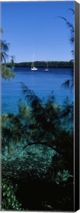 Framed Sailboats in the ocean, Kingdom of Tonga, Vava&#39;u Group of Islands, South Pacific Print