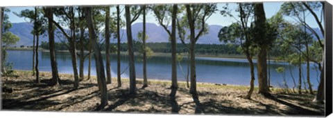 Framed dam on a farm in Hermon, South Africa Print