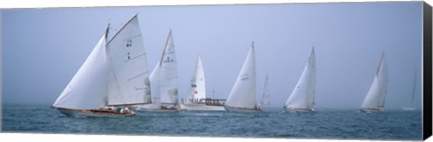 Framed Yachts racing in the ocean, Annual Museum Of Yachting Classic Yacht Regatta, Newport, Newport County, Rhode Island, USA Print