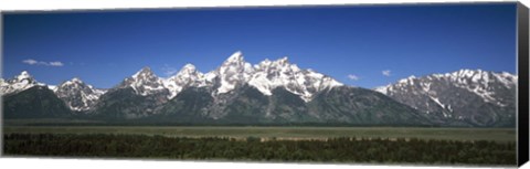 Framed Trees in a forest with mountains in the background, Teton Point Turnout, Teton Range, Grand Teton National Park, Wyoming, USA Print