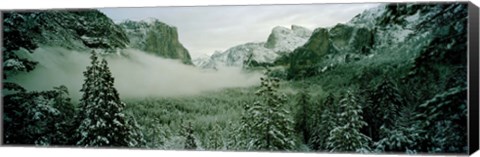 Framed Trees in a forest, Yosemite National Park, Mariposa County, California, USA Print