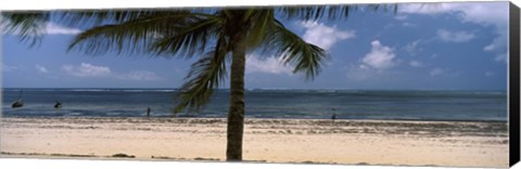 Framed Palm tree on the beach, Malindi, Coast Province, Kenya Print