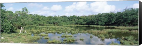 Framed Reflection of clouds in water, Watamu Marine National Park, Watamu, Coast Province, Kenya Print