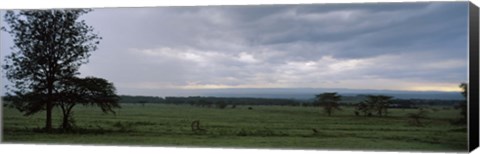 Framed Lake Nakuru National Park, Great Rift Valley, Kenya Print