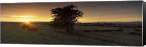 Framed Sunset over a landscape, Masai Mara National Reserve, Great Rift Valley, Kenya Print