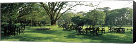 Framed Chairs and tables in a lawn, Lake Naivasha Country Club, Great Rift Valley, Kenya Print