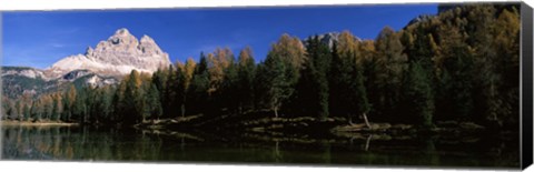 Framed Trees at the lakeside, Lake Misurina, Tre Cime Di Lavaredo, Dolomites, Cadore, Province of Belluno, Veneto, Italy Print