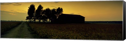 Framed Silhouette of a farmhouse at sunset, Polesine, Veneto, Italy Print