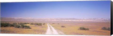 Framed Dirt road passing through a landscape, Carrizo Plain, San Luis Obispo County, California, USA Print