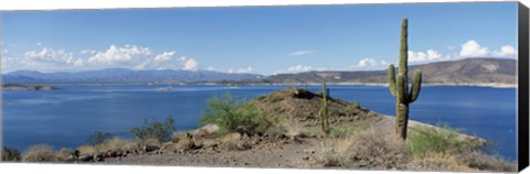 Framed Cactus at the lakeside with a mountain range in the background, Lake Pleasant, Arizona, USA Print