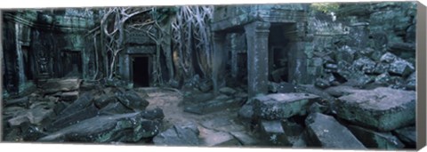 Framed Overgrown tree roots on ruins of a temple, Ta Prohm Temple, Angkor, Cambodia Print