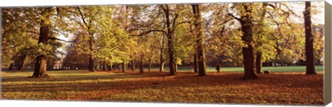 Framed Ludwigsburg Park in autumn, Ludwigsburg, Baden-Wurttemberg, Germany Print