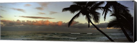 Framed Palm trees on the beach, Hawaii, USA Print