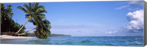 Framed Palm trees on the beach, Indonesia Print