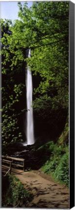 Framed Trail path by a waterfall, Columbia River Gorge, Oregon, USA Print