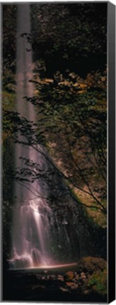 Framed Waterfall in a forest, Columbia Gorge, Oregon, USA Print