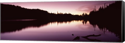 Framed Reflection of trees in a lake, Mt Rainier, Pierce County, Washington State Print