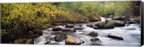 Framed River passing through a forest, Inyo County, California, USA Print