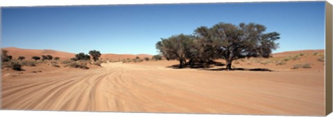 Framed Tire tracks in an arid landscape, Sossusvlei, Namib Desert, Namibia Print