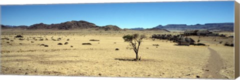 Framed Horse ranch on a homestead, Namibia Print