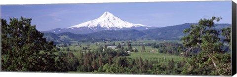 Framed Trees and farms with a snowcapped mountain in the background, Mt Hood, Oregon, USA Print