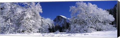 Framed Half Dome, Yosemite National Park, Mariposa County, California Print