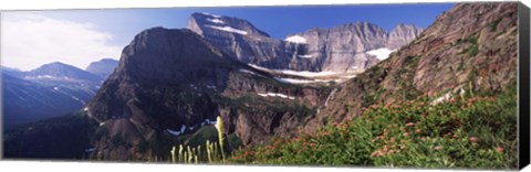 Framed Wildflowers with mountain range in the background, US Glacier National Park, Montana, USA Print