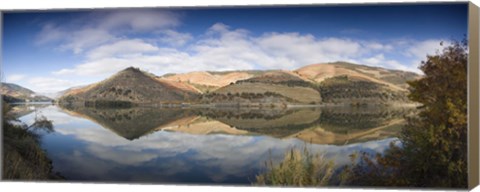 Framed Reflection of Vineyards in the River, Cima Corgo, Duoro River, Portugal Print