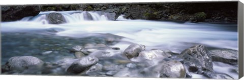 Framed River, Hollyford River, Fiordland National Park, South Island, New Zealand Print