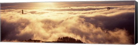 Framed Golden Gate Bridge Peaking through the fog, San Francisco, California Print