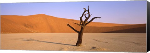 Framed Dead tree in a desert, Dead Vlei, Sossusvlei, Namib-Naukluft National Park, Namibia Print