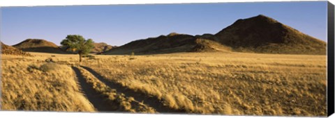 Framed Trails passing through a desert, Namibia Print