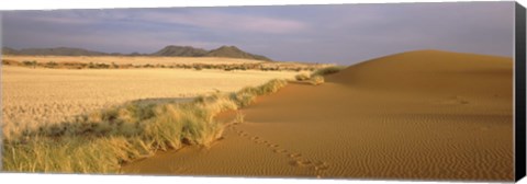 Framed Animal tracks on the sand dunes towards the open grasslands, Namibia Print