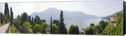Framed Trees with a lake in background, Lake Como, Villa Passalacqua, Moltrasio, Como, Lombardy, Italy Print