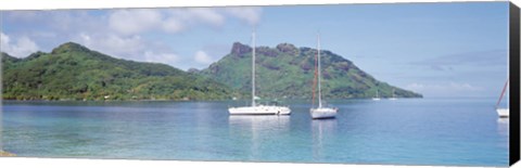 Framed Sailboats in the sea, Tahiti, Society Islands, French Polynesia Print