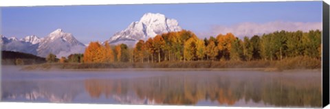 Framed Reflection of trees in a river, Oxbow Bend, Snake River, Grand Teton National Park, Teton County, Wyoming, USA Print