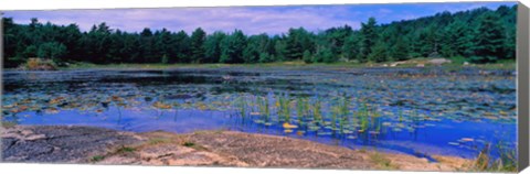 Framed Pond in a national park, Bubble Pond, Acadia National Park, Mount Desert Island, Hancock County, Maine, USA Print