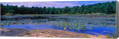 Framed Pond in a national park, Bubble Pond, Acadia National Park, Mount Desert Island, Hancock County, Maine, USA Print