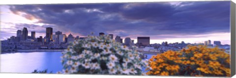 Framed Blooming flowers with Montreal skyline, Quebec, Canada 2010 Print