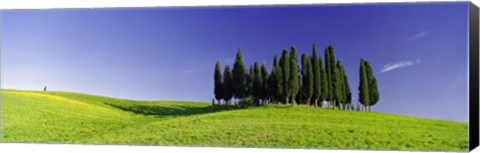 Framed Trees on a landscape, Val D&#39;Orcia, Siena Province, Tuscany, Italy Print