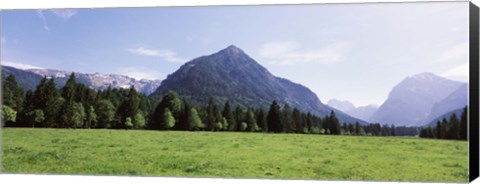 Framed Trees on a hill with mountain range in the background, Karwendel Mountains, Risstal Valley, Hinterriss, Tyrol, Austria Print