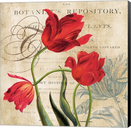 Framed Botanist&#39;s Repository Print