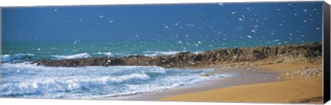 Framed Waves breaking on the coast, Morbihan, Brittany, France Print