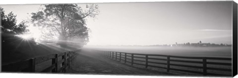 Framed Ranch at dawn, Woodford County, Kentucky, USA Print