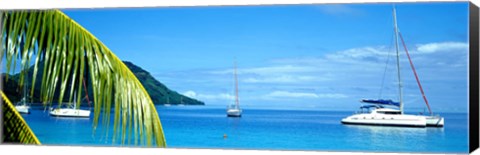 Framed Sailboats in the ocean, Tahiti, Society Islands, French Polynesia (horizontal) Print