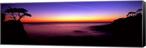 Framed Silhouette of Lone Cypress Tree on a cliff, 17-Mile Drive, Pebble Beach, Carmel, Monterey County, California, USA Print