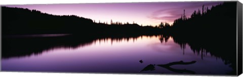 Framed Reflection of trees in a lake, Mt Rainier National Park, Washington State Print